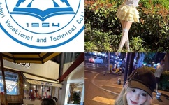 黄色的软件下载